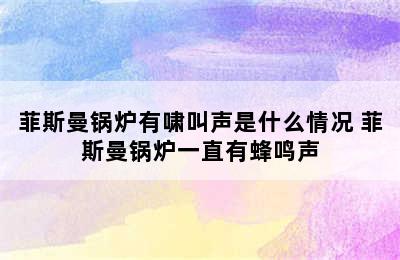 菲斯曼锅炉有啸叫声是什么情况 菲斯曼锅炉一直有蜂鸣声